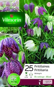 Fritillaire Meleagris (x25)